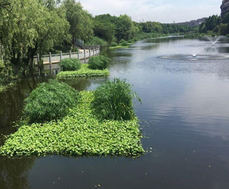 水污染治理_水咨詢治理_水治理